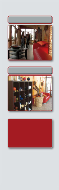 Video Tierkrematorium - Tierurnen Sortiment